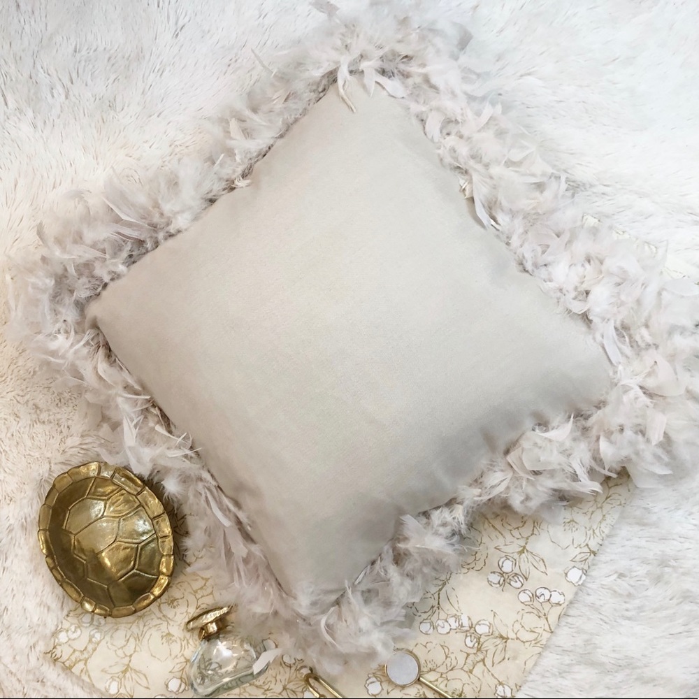 Large Feather Trim Accent Pillow